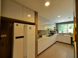 Sommerville Park (D10), Condominium #553005921